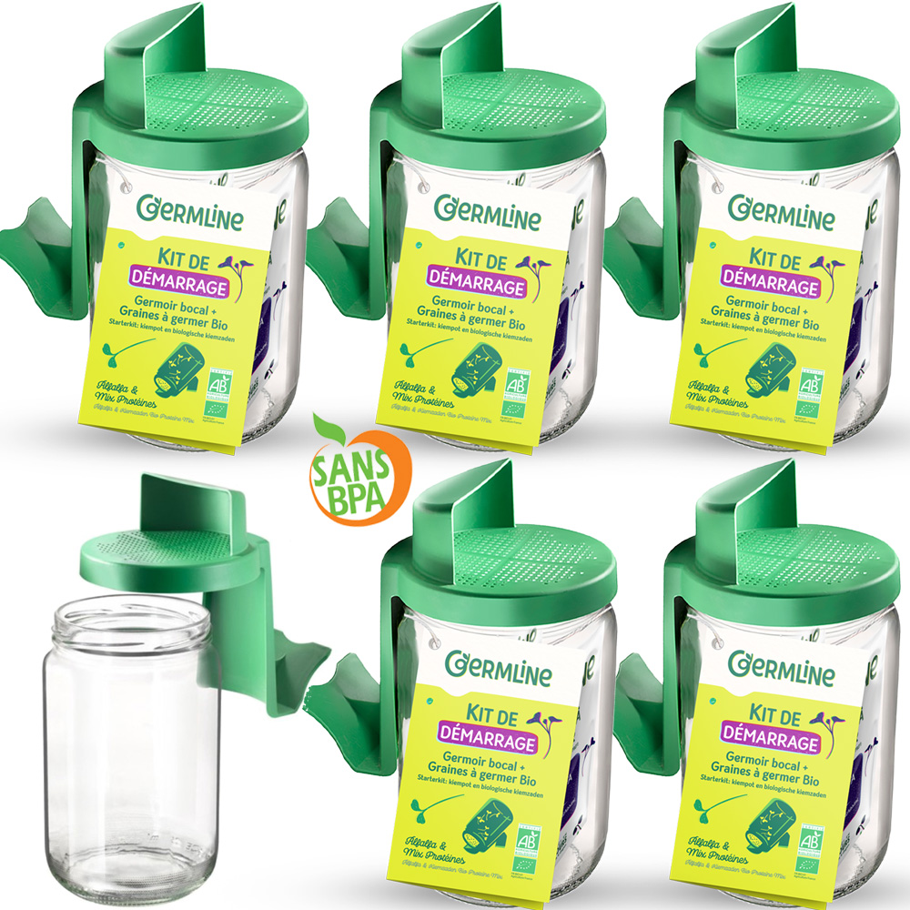Germoir en verre par 6